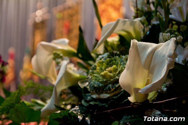 VII Certamen de Bandas de Cornetas y Tambores - 2012 - 239