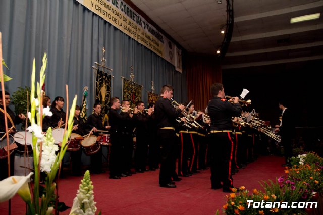 VII Certamen de Bandas de Cornetas y Tambores - 2012 - 451