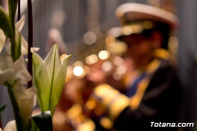 VII Certamen de Bandas de Cornetas y Tambores - 2012 - 650