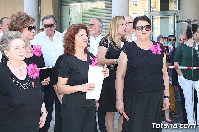 Da de la Fiesta Nacional 2017 - 11