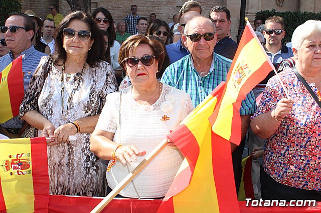 Da de la Fiesta Nacional 2017 - 87