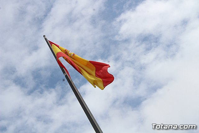 Homenaje a la Bandera - Totana 2019 - 48