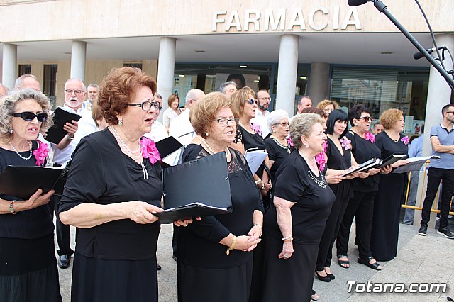 Homenaje a la Bandera - Totana 2019 - 65