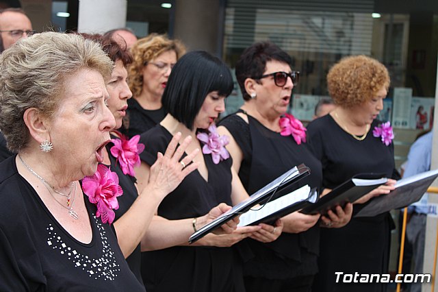 Homenaje a la Bandera - Totana 2019 - 68