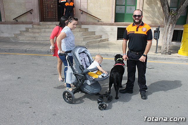 Homenaje a la Bandera - Totana 2019 - 246