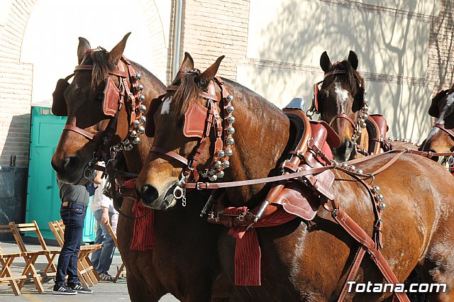 Bando de la Huerta - Fiestas de Primavera 2018 - 37