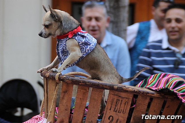 Bando de la Huerta - Fiestas de Primavera 2018 - 135