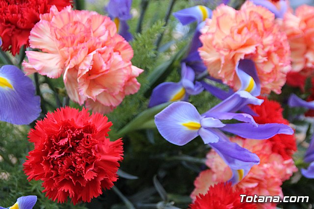 Bando de la Huerta - Fiestas de Primavera 2018 - 220