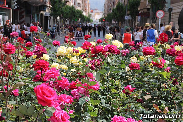 Bando de la Huerta - Fiestas de Primavera 2017 - 12