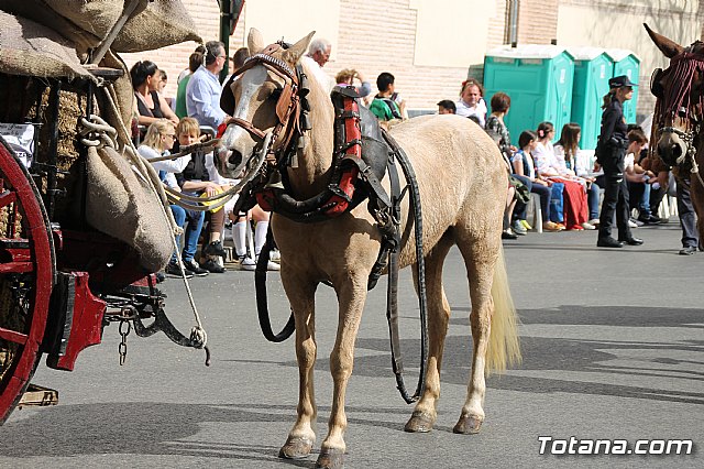 Bando de la Huerta - Fiestas de Primavera 2017 - 27