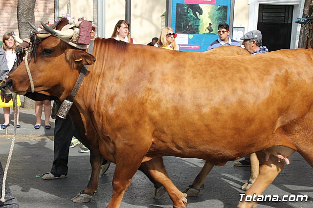 Bando de la Huerta - Fiestas de Primavera 2017 - 190