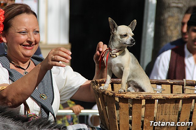 Bando de la Huerta - Fiestas de Primavera 2017 - 196