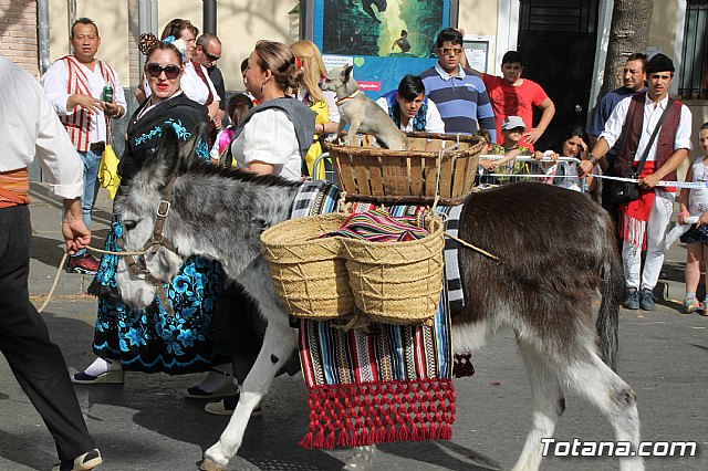 Bando de la Huerta - Fiestas de Primavera 2017 - 198