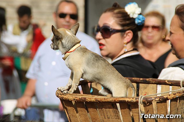 Bando de la Huerta - Fiestas de Primavera 2017 - 199