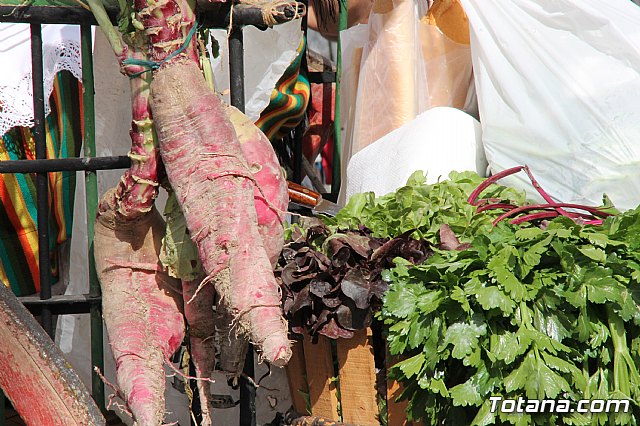 Bando de la Huerta - Fiestas de Primavera 2017 - 210