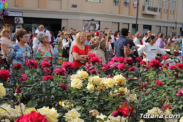 Bando de la Huerta - Fiestas de Primavera 2017 - 380