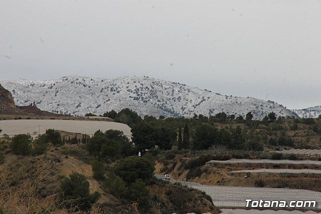 Visita al yacimiento de La Bastida - 02/02/2018 - 4