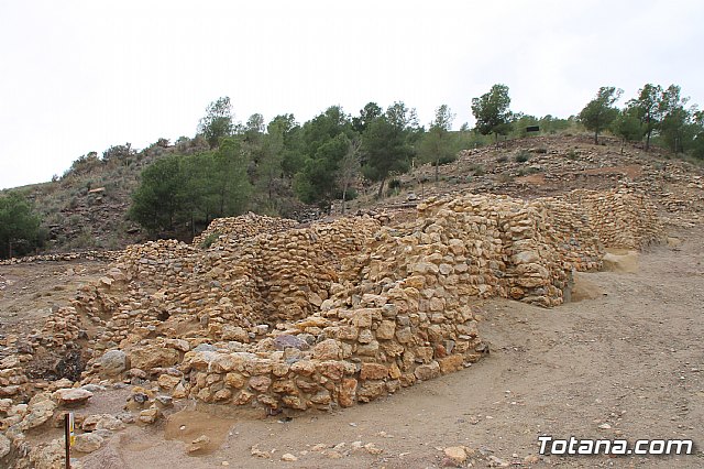 Visita al yacimiento de La Bastida - 02/02/2018 - 18