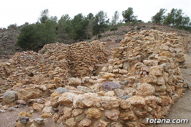 Visita al yacimiento de La Bastida - 02/02/2018 - 20