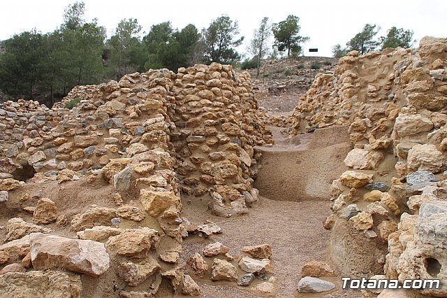 Visita al yacimiento de La Bastida - 02/02/2018 - 21