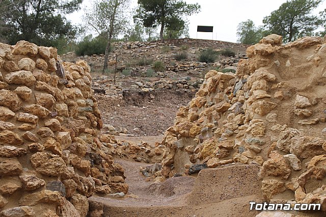 Visita al yacimiento de La Bastida - 02/02/2018 - 23