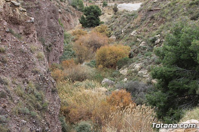 Visita al yacimiento de La Bastida - 02/02/2018 - 35