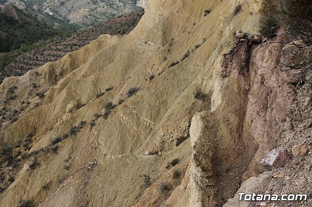 Visita al yacimiento de La Bastida - 02/02/2018 - 58