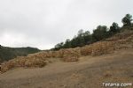 bastida