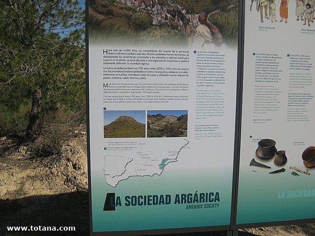 Visita amas de casa. Yacimiento Argrico de La bastida - 10