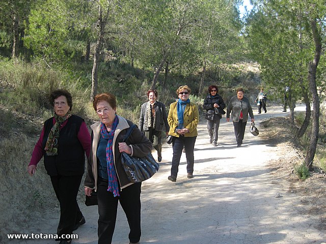 Visita amas de casa. Yacimiento Argrico de La bastida - 17