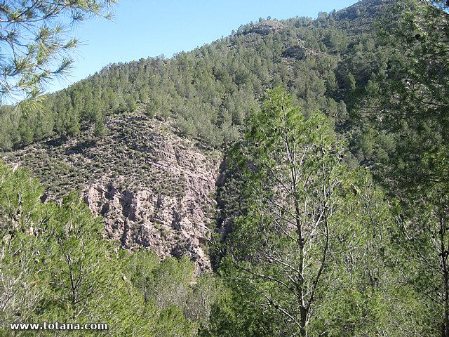 Visita amas de casa. Yacimiento Argrico de La bastida - 21
