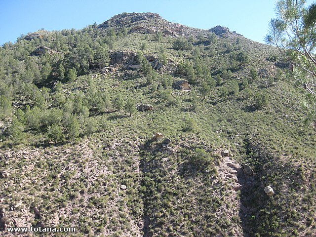 Visita amas de casa. Yacimiento Argrico de La bastida - 26