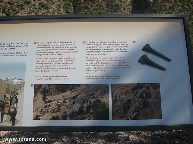 Visita amas de casa. Yacimiento Argrico de La bastida - 29