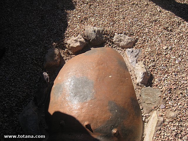 Visita amas de casa. Yacimiento Argrico de La bastida - 36