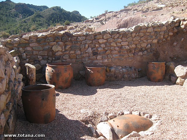 Visita amas de casa. Yacimiento Argrico de La bastida - 37