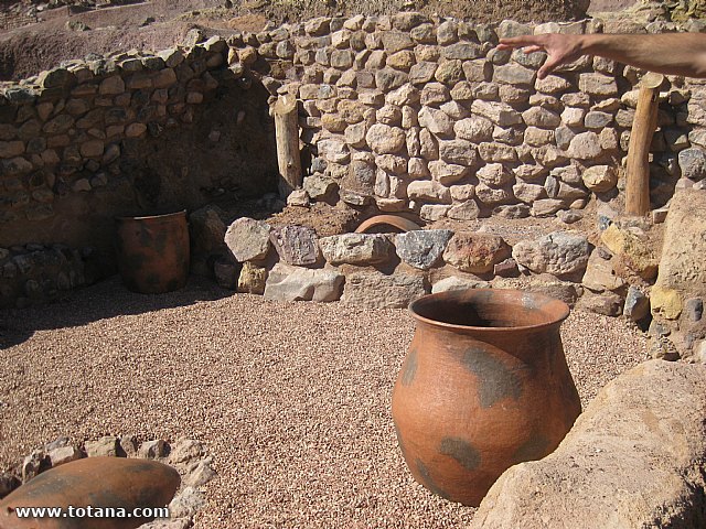 Visita amas de casa. Yacimiento Argrico de La bastida - 38