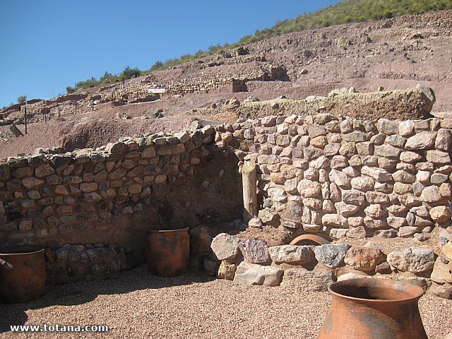 Visita amas de casa. Yacimiento Argrico de La bastida - 39