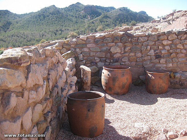 Visita amas de casa. Yacimiento Argrico de La bastida - 40