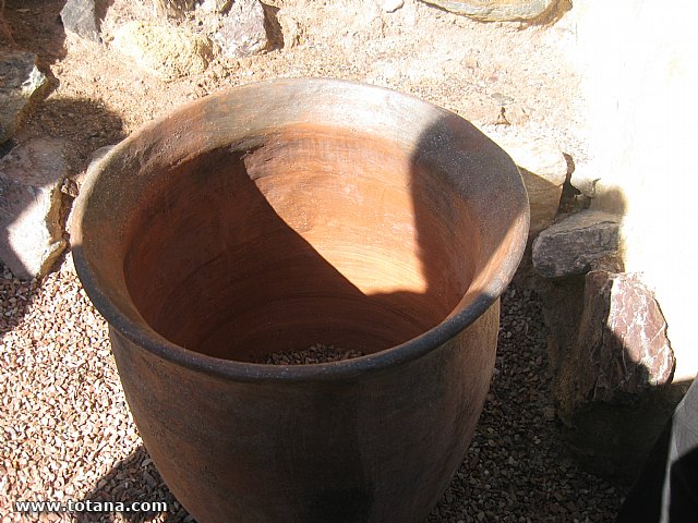 Visita amas de casa. Yacimiento Argrico de La bastida - 42