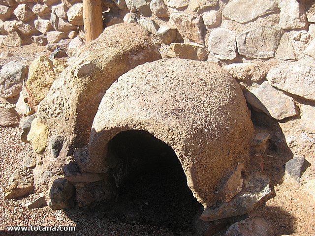 Visita amas de casa. Yacimiento Argrico de La bastida - 43