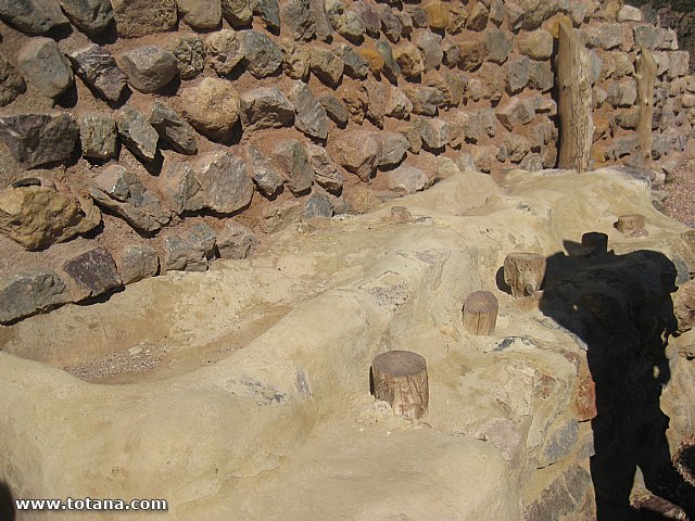 Visita amas de casa. Yacimiento Argrico de La bastida - 44