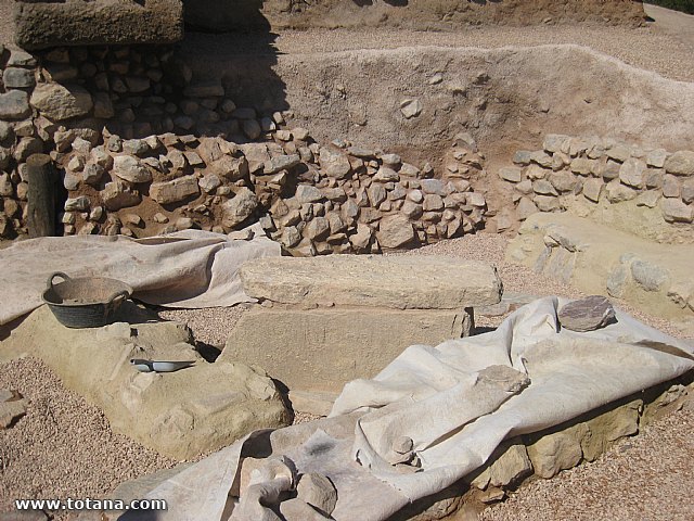 Visita amas de casa. Yacimiento Argrico de La bastida - 54