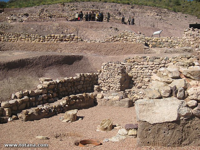 Visita amas de casa. Yacimiento Argrico de La bastida - 64