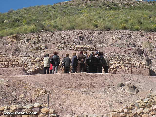 Visita amas de casa. Yacimiento Argrico de La bastida - 66
