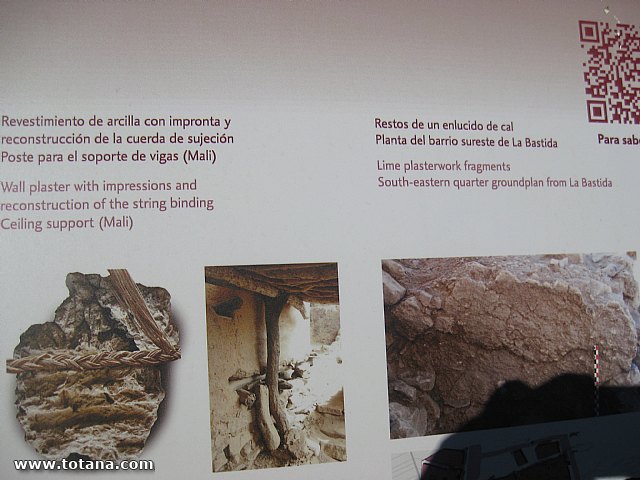 Visita amas de casa. Yacimiento Argrico de La bastida - 73