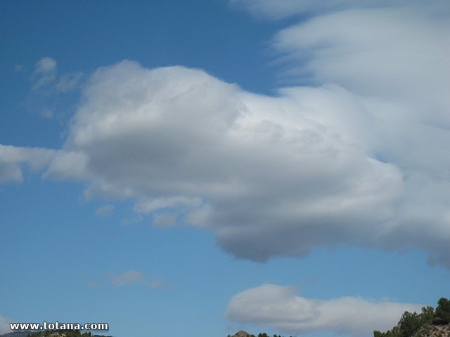 Visita amas de casa. Yacimiento Argrico de La bastida - 75