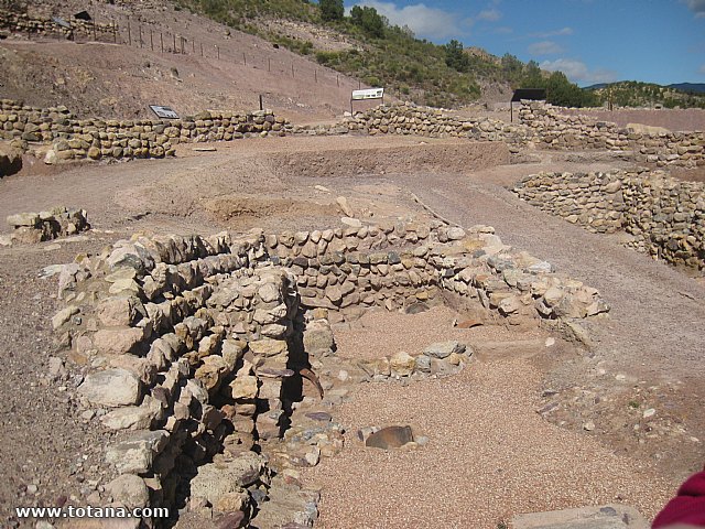 Visita amas de casa. Yacimiento Argrico de La bastida - 77