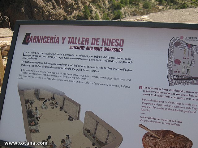 Visita amas de casa. Yacimiento Argrico de La bastida - 80