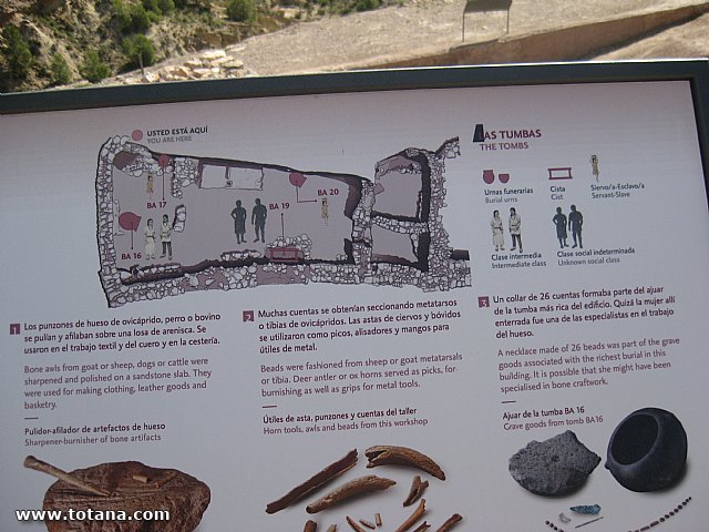 Visita amas de casa. Yacimiento Argrico de La bastida - 81