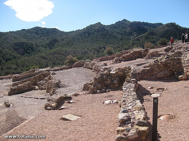 Visita amas de casa. Yacimiento Argrico de La bastida - 84